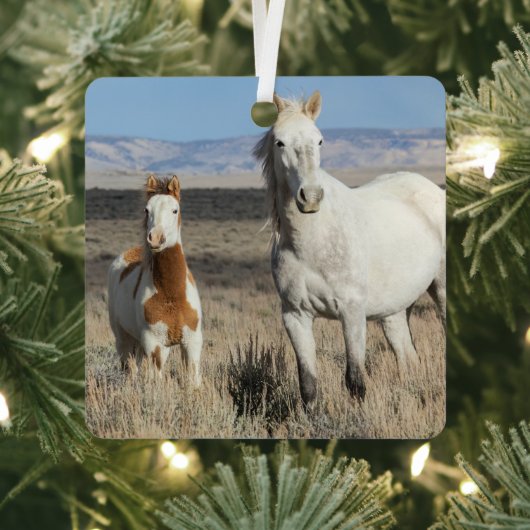 Wild Horses at Home in the Sandwash Basin メタルオーナメント (インサイチュ)