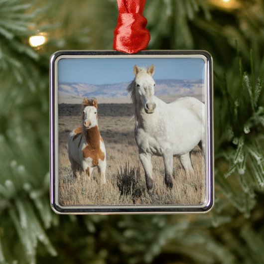 Wild Horses at Home in the Sandwash Basin メタルオーナメント (ツリー)