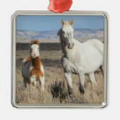 Wild Horses at Home in the Sandwash Basin メタルオーナメント (正面)