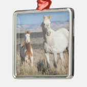 Wild Horses at Home in the Sandwash Basin メタルオーナメント (左)