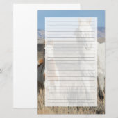 Wild Horses at Home in the Sandwash Basin 便箋 (正面/裏面)