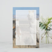 Wild Horses at Home in the Sandwash Basin 便箋 (スタンド正面)