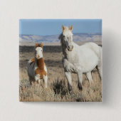 Wild Horses at Home in the Sandwash Basin 缶バッジ (正面)