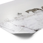 Wild Horses In Snow Kodakプロフェッショナル写真 フォトプリント (角)