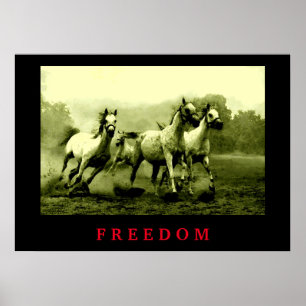 Wild Horses Motivational Freedom Artwork ポスター
