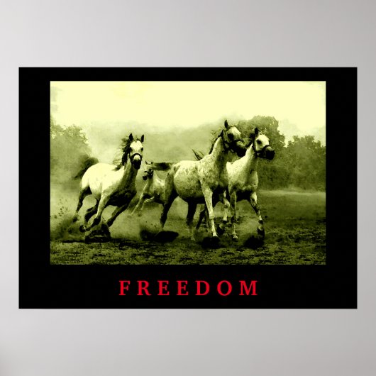 Wild Horses Motivational Freedom Artwork ポスター (正面)
