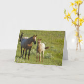 Wild Horses North Dakota カード (黄色い花)