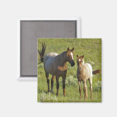 Wild Horses North Dakota マグネット (正面/裏面)