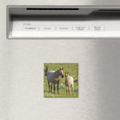 Wild Horses North Dakota マグネット (インサイチュ (食洗機))
