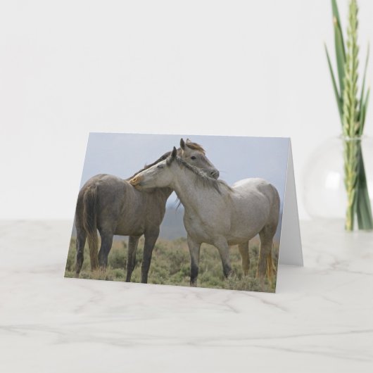 Wild Horses Nuzzling カード (正面)