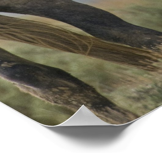 Wild Horses Nuzzling ポスター (角)