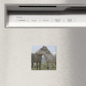 Wild Horses Nuzzling マグネット (インサイチュ (食洗機))