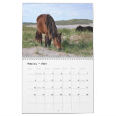 Wild Horses of Sable Island カレンダー (2月 2026)