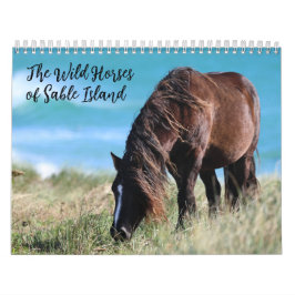 Wild Horses of Sable Island カレンダー