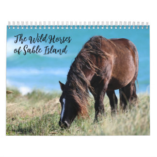 Wild Horses of Sable Island カレンダー