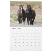 Wild Horses of Sable Island カレンダー (1月 2026)