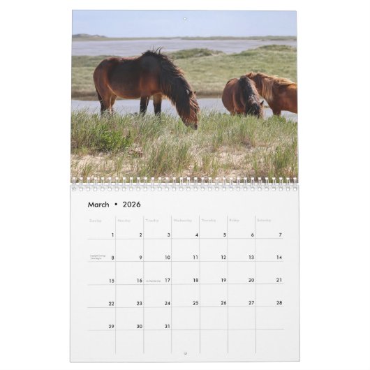 Wild Horses of Sable Island Calendar カレンダー (3月 2026)
