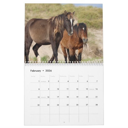 Wild Horses of Sable Island Calendar カレンダー (2月 2026)