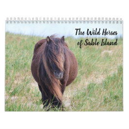 Wild Horses of Sable Island Calendar カレンダー