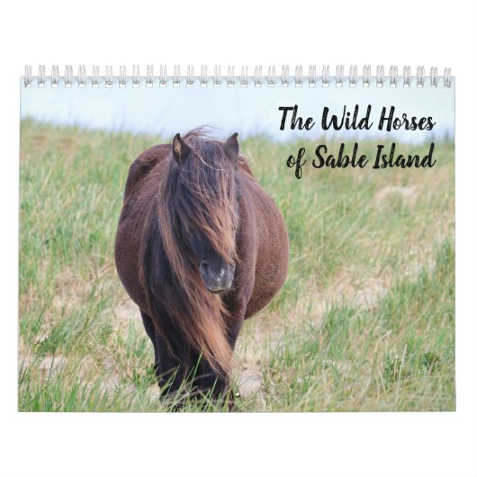 Wild Horses of Sable Island Calendar カレンダー (カバー)