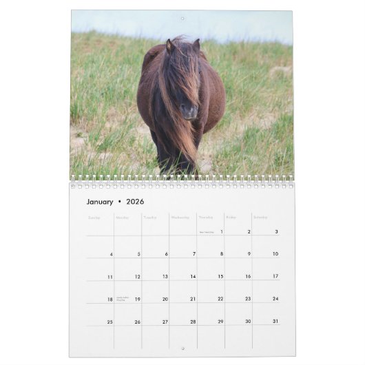 Wild Horses of Sable Island Calendar カレンダー (1月 2026)