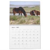 Wild Horses of Sable Island Calendar カレンダー (3月 2027)