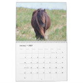 Wild Horses of Sable Island Calendar カレンダー (1月 2027)