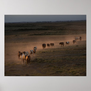 Wild Horses Walking Towards Desert ポスター