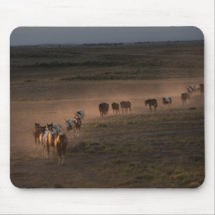 Wild Horses Walking Towards Desert マウスパッド