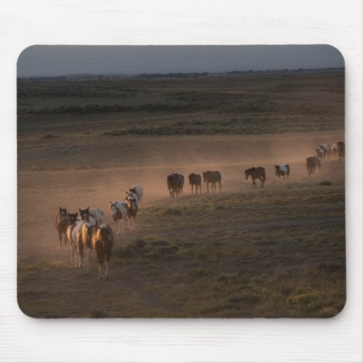 Wild Horses Walking Towards Desert マウスパッド (正面)