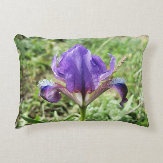 Wild Iris Accent Pillow アクセントクッション (正面)