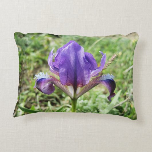 Wild Iris Accent Pillow アクセントクッション (裏面)