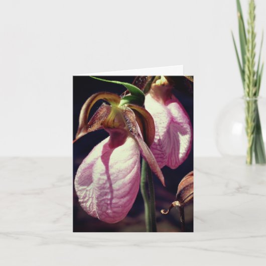Wild Lady Slipper Orchids Flower Personalized Note カード (正面)