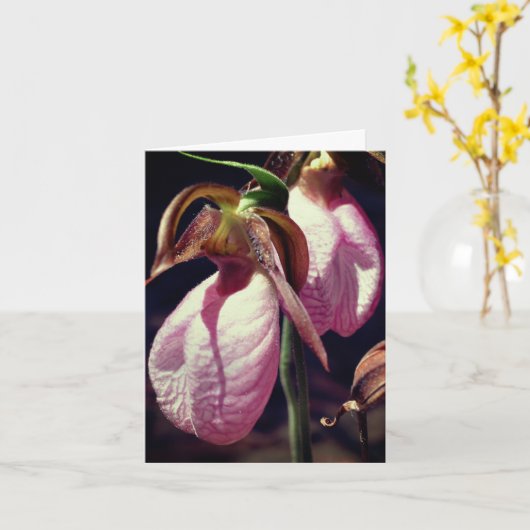 Wild Lady Slipper Orchids Flower Personalized Note カード (黄色い花)
