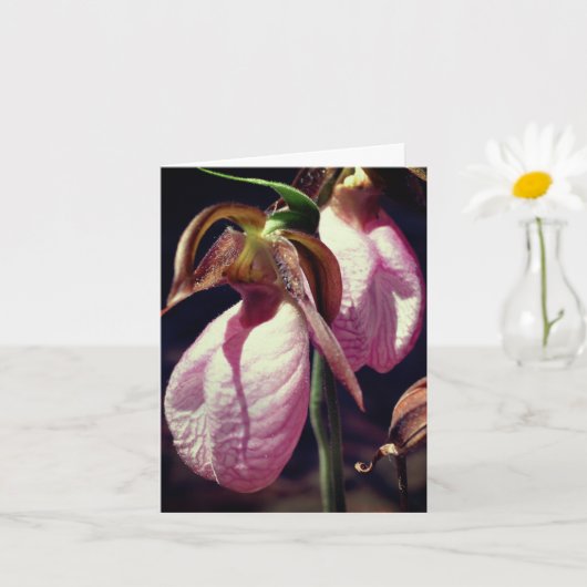 Wild Lady Slipper Orchids Flower Personalized Note カード (小さな植物)