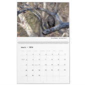 Wild Life 2026 Calendar カレンダー (3月 2026)