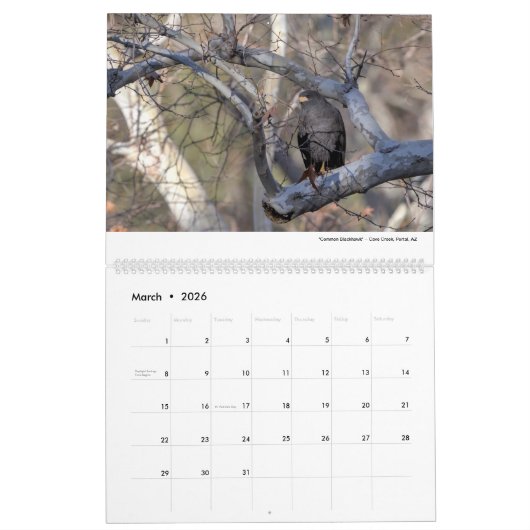 Wild Life 2026 Calendar カレンダー (3月 2026)