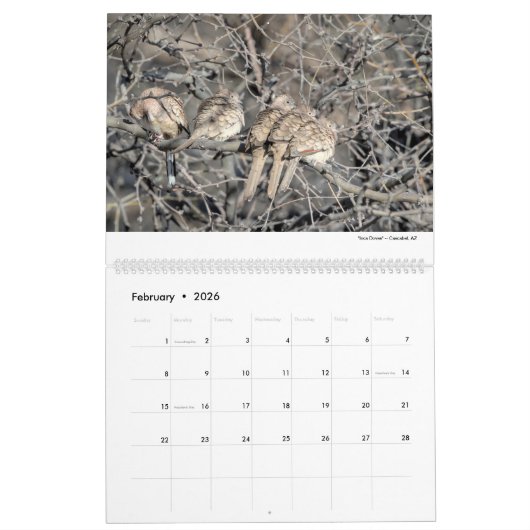 Wild Life 2026 Calendar カレンダー (2月 2026)