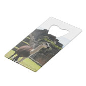 Wild Llama Near Ruins クレジットカード栓抜き (正面アングル)
