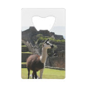 Wild Llama Near Ruins クレジットカード栓抜き (裏面)