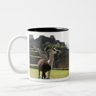 Wild Llama Near Ruins ツートーンマグカップ