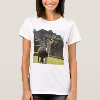Wild Llama Near Ruins Tシャツ
