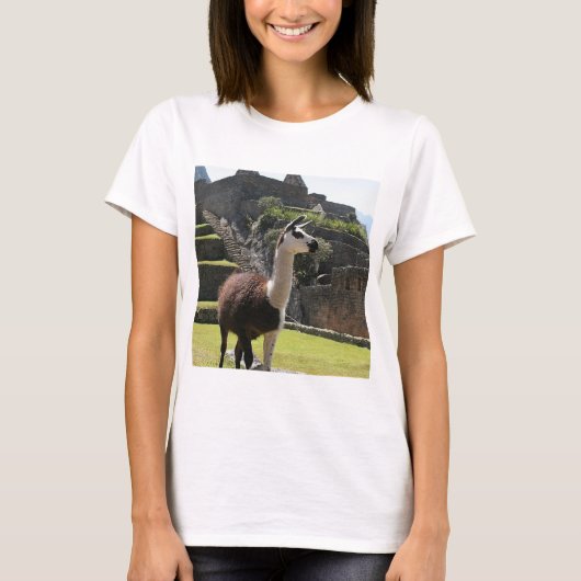 Wild Llama Near Ruins Tシャツ (正面)