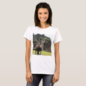 Wild Llama Near Ruins Tシャツ (正面フル)