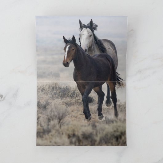 "Wild Mares and Foal on the Move" 招待状 (内部)