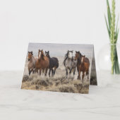 "Wild Mares and Foal on the Move" 招待状 (正面)