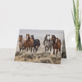 "Wild Mares and Foal on the Move" 招待状