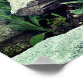 Wild Mullein Flowers Among Rocks  ポスター (角)