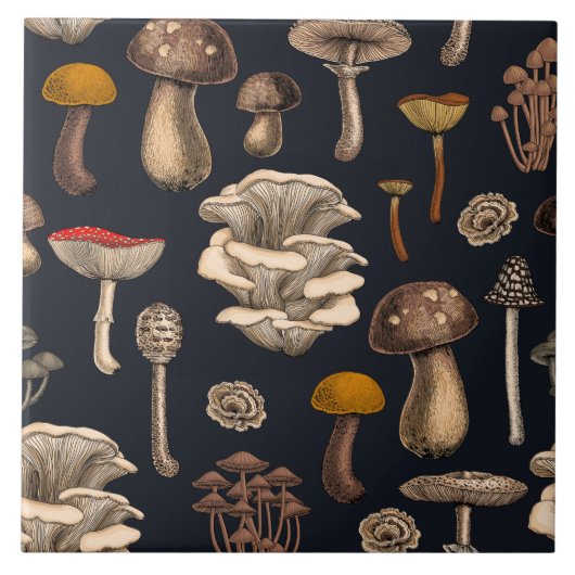 Wild Mushrooms  on graphite black タイル (正面)