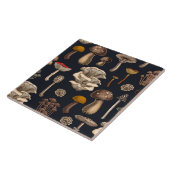 Wild Mushrooms  on graphite black タイル (側面)